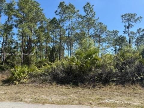 1306 Irving Ave, Lehigh Acres FL, 33972 land for sale