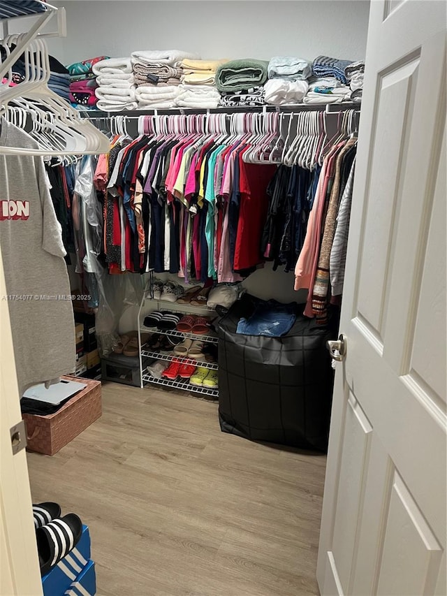 walk in closet featuring wood finished floors