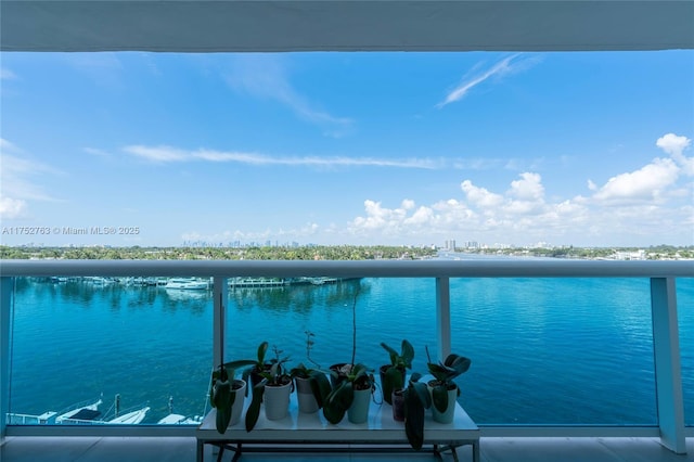 view of water feature