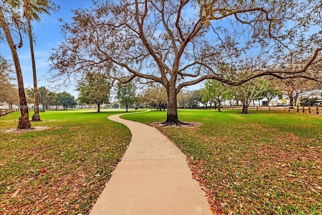 view of community with a yard