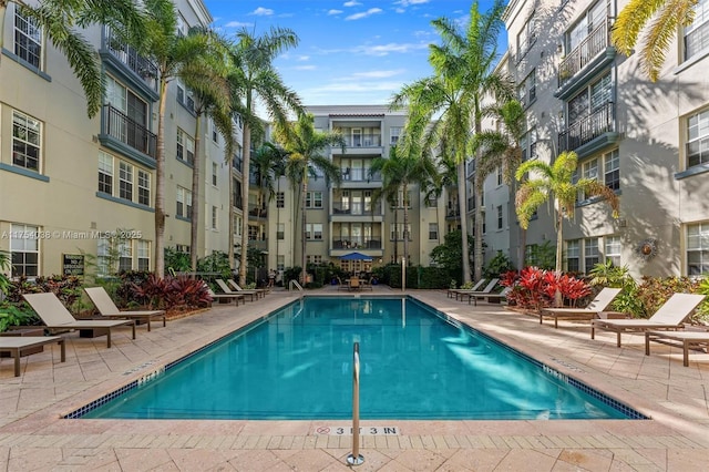 view of pool featuring a patio