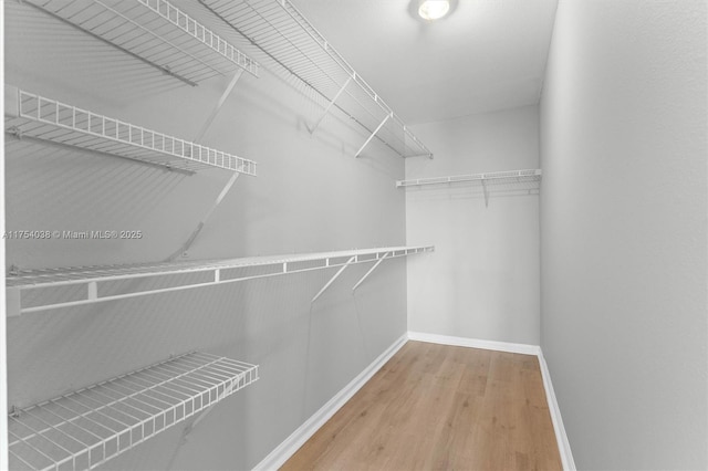 spacious closet featuring wood finished floors