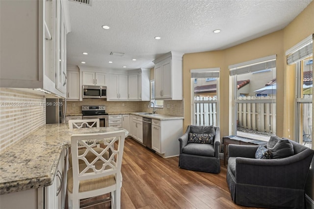 kitchen featuring a sink, open floor plan, appliances with stainless steel finishes, backsplash, and dark wood-style floors