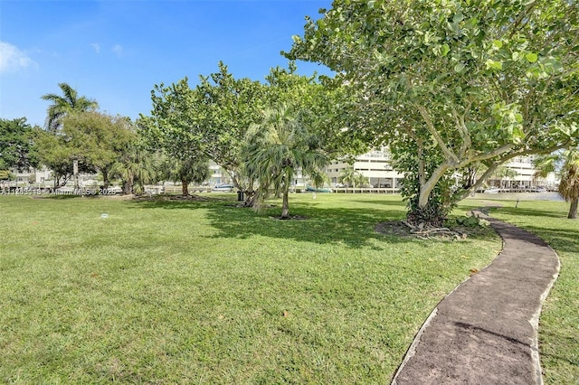 270 Layne Blvd Unit 208, Hallandale Beach, FL 33009 - photo 28