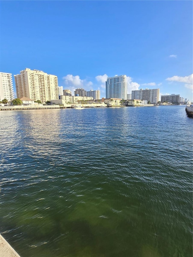 property view of water with a city view