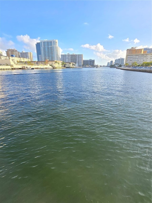 view of water feature with a city view