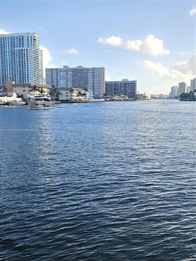 property view of water featuring a view of city