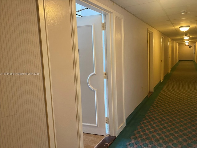 hallway featuring carpet floors and a paneled ceiling