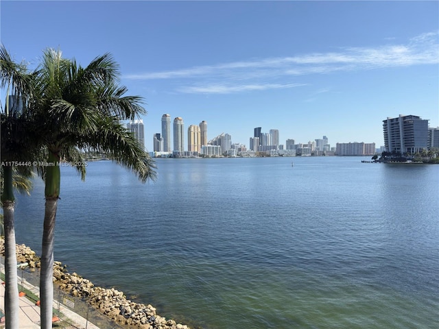 water view with a view of city