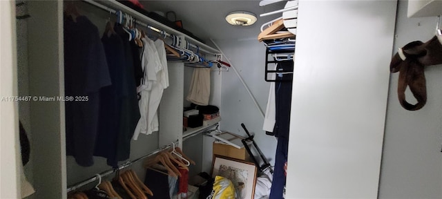 view of walk in closet