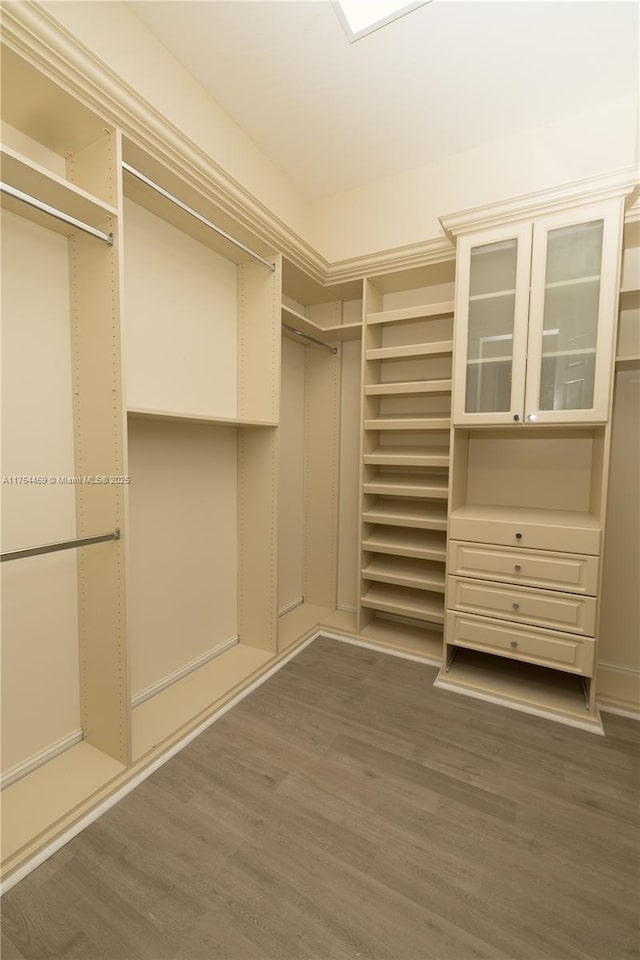 spacious closet featuring wood finished floors