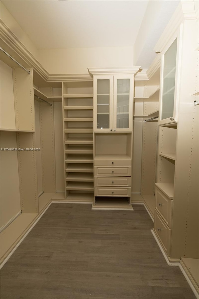 spacious closet featuring dark wood-style floors