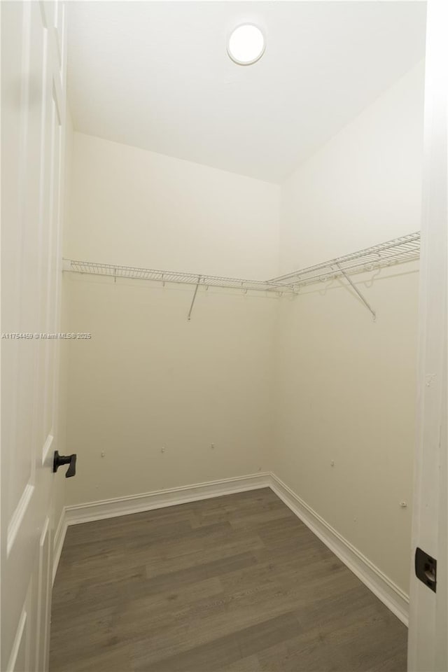 spacious closet featuring dark wood-style floors