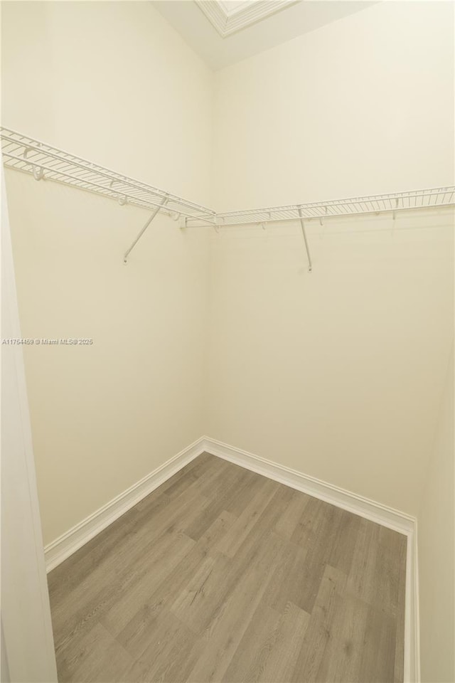 spacious closet featuring wood finished floors