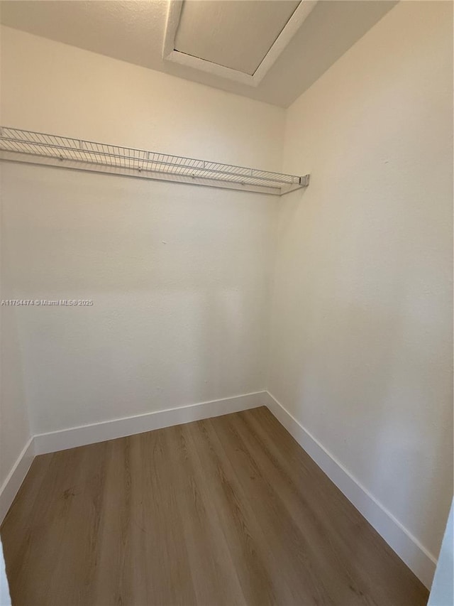 walk in closet featuring attic access and wood finished floors