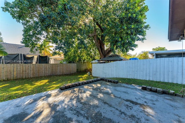 view of yard with a patio area and a fenced backyard