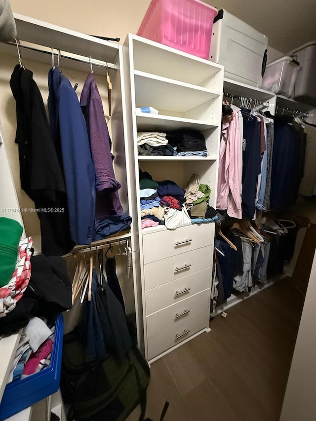 spacious closet featuring wood finished floors