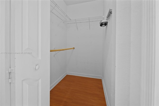 spacious closet featuring wood finished floors