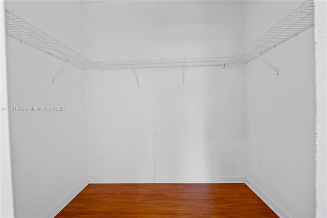 spacious closet with wood finished floors