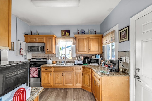 kitchen featuring stainless steel appliances, light wood-style floors, a sink, and a healthy amount of sunlight