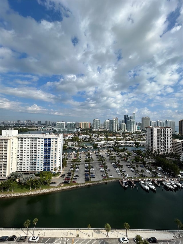 drone / aerial view with a view of city and a water view