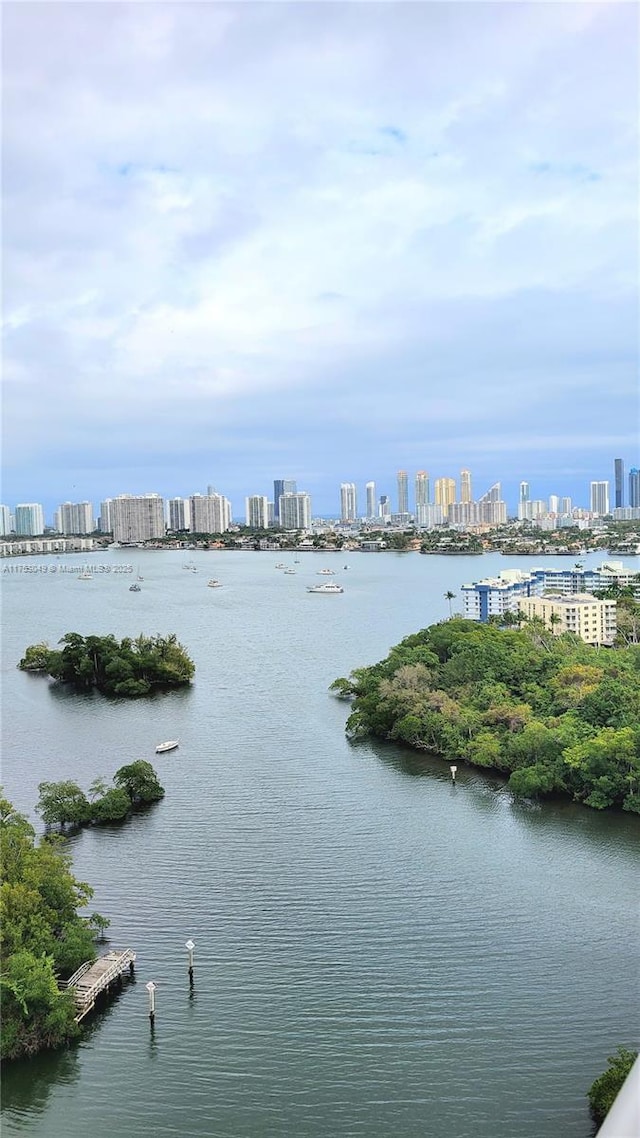 water view featuring a view of city