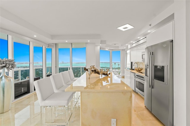 kitchen featuring white cabinets, modern cabinets, appliances with stainless steel finishes, a center island, and a wall of windows