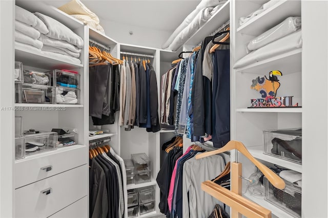 view of walk in closet