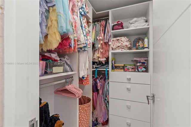 view of spacious closet