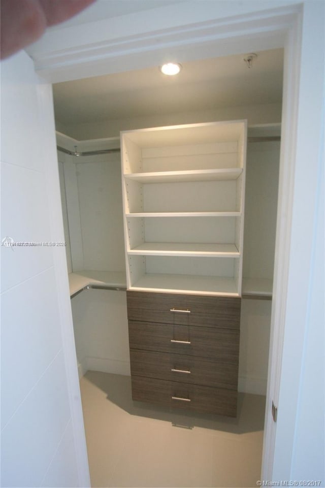 view of spacious closet