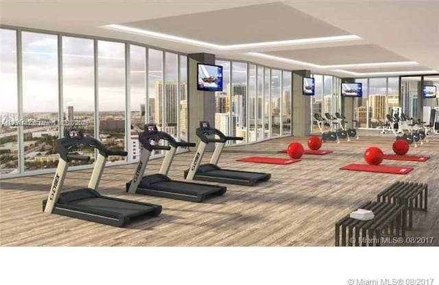 gym with a wealth of natural light, expansive windows, and wood finished floors