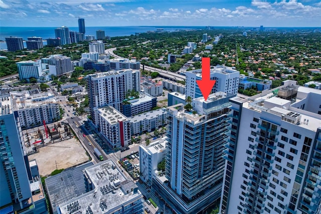 1010 SW 2nd Ave Unit Lph05, Miami, FL 33130 - view of urban area featuring a large body of water