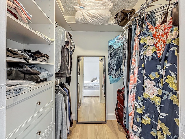 walk in closet with light wood-type flooring