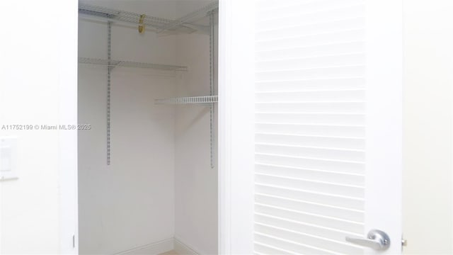 view of spacious closet