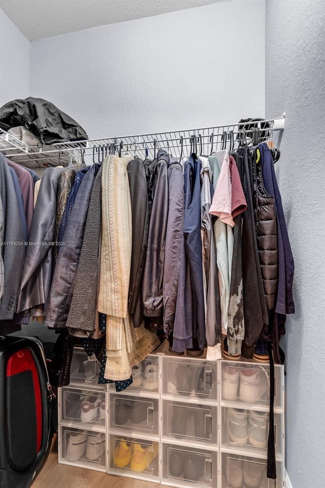 walk in closet featuring wood finished floors