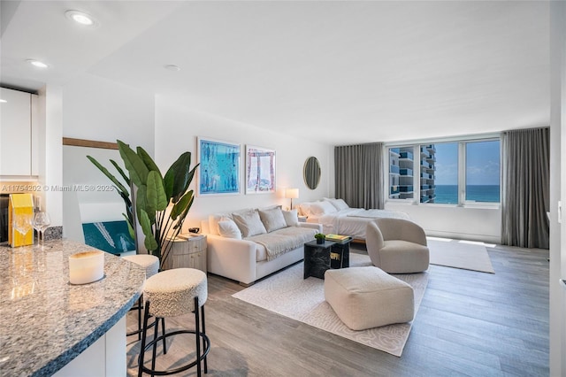 living room with wood finished floors and recessed lighting