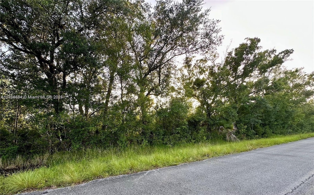 36675 NE 9th Dr, Okeechobee, FL 34972 - photo 2
