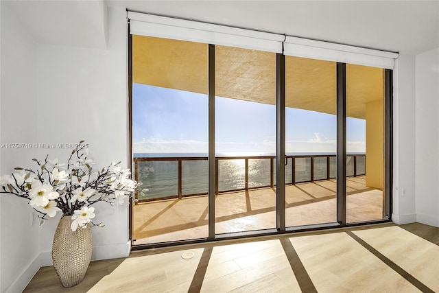 entryway with baseboards, floor to ceiling windows, and wood finished floors