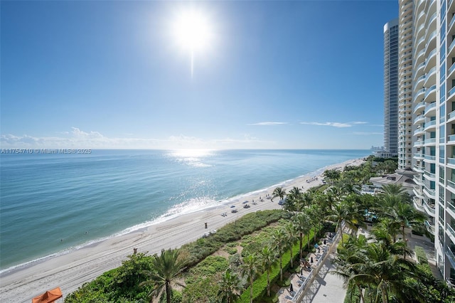 property view of water with a beach view