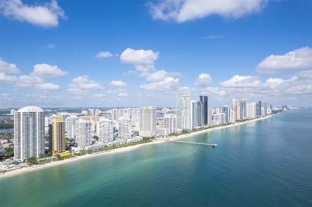 property view of water featuring a view of city