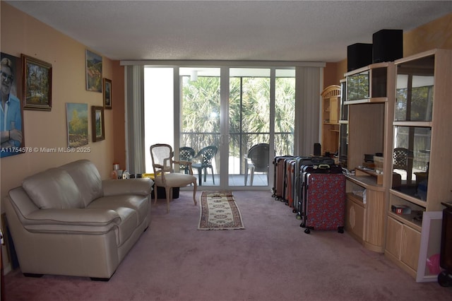 carpeted living area with a textured ceiling and expansive windows