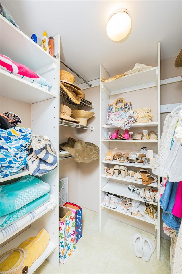 walk in closet featuring carpet floors