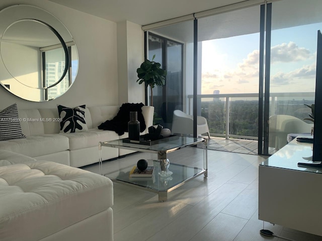 living area featuring a wall of windows and wood finished floors