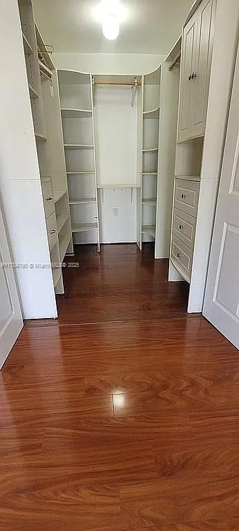 walk in closet featuring dark wood-style floors