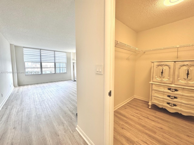 spacious closet featuring light wood finished floors