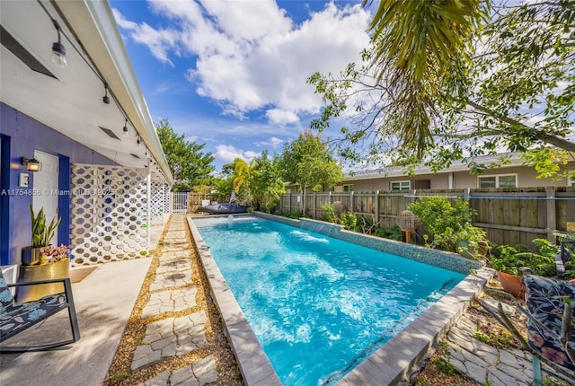 2217 NE 14th Ave, Wilton Manors, FL 33305 - view of swimming pool featuring a fenced backyard, a fenced in pool, and a patio