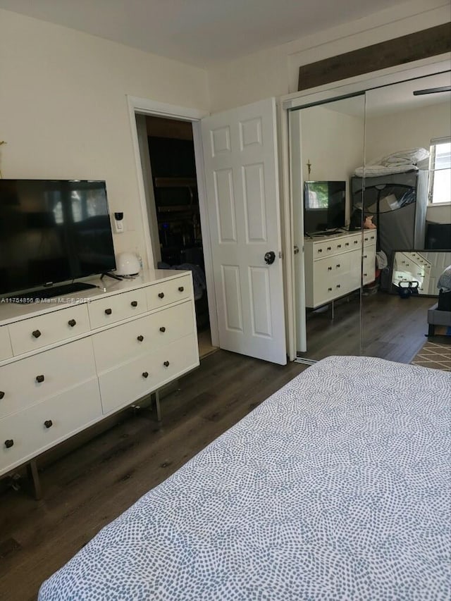 2217 NE 14th Ave, Wilton Manors, FL 33305 - bedroom with dark wood-style floors and a closet