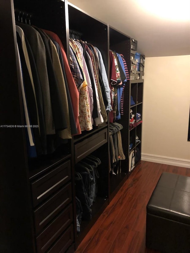 walk in closet featuring wood finished floors