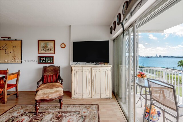 1700 NE 105th St Unit 216, Miami Shores, FL 33138 - living area featuring light wood-type flooring