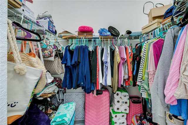 view of walk in closet